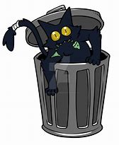 Image result for Trash Cat Breed