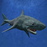 Image result for Shark Blud