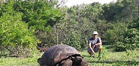 Image result for Galapagos Archipelago