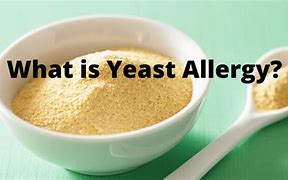 Image result for Yeast Allergy