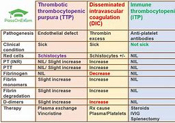 Image result for Ittp Cttp