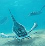 Image result for Eurypterid