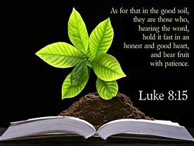 Image result for Luke 8