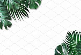 Image result for Tropical Leaves Background Logo