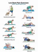 Image result for Lumbar Exercises for Back Pain