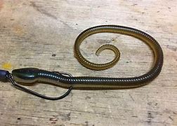 Image result for Flip Tail Plastic Worms