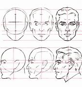 Image result for Human Head Proportions Drawing