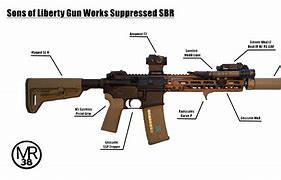 Image result for Suppressed SBR