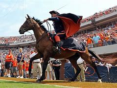 Image result for Virginia State University Mascot