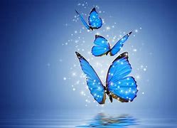 Image result for Butterfly Wallpaper Blue Desktop Computer