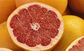 Image result for Citrus Grapefruit Coloe Peges