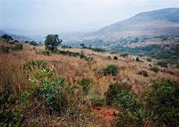 Image result for Suikerbosrand Nature Reserve