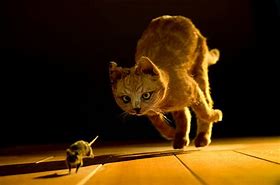 Image result for Cat Toy Mouse Chase