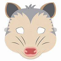 Image result for Possum Mask