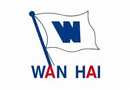 Image result for Wan Hai BL Back