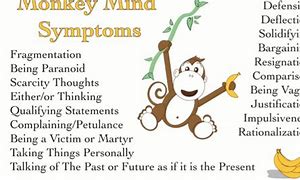 Image result for Monkey Mind for Kids