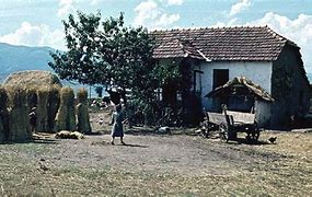 Image result for Greece Farm