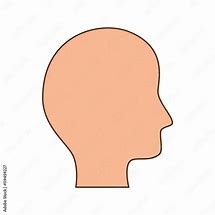 Image result for Human Head Profile