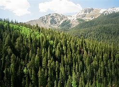 Image result for Rock Layers Rocky Mountain National Park