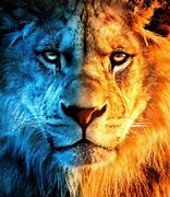 Image result for Fire and Ice Lion