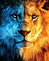 Image result for Lion and Fire