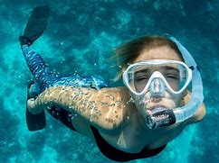 Image result for Snorkel in the Sea