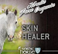 Image result for Nordic Healer