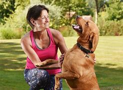 Image result for Jogging with Dog