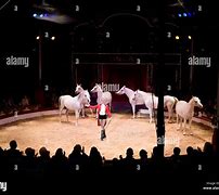 Image result for Sassy Circus Rings