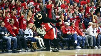 Image result for Ole Miss Bear Mascot