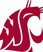 Image result for Wazzu Logo HD