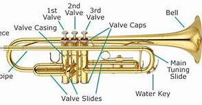 Image result for Trumpet Valve Diagram