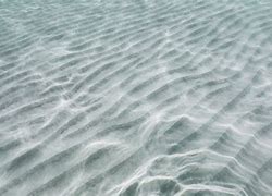 Image result for Ocean Floor Texture