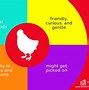 Image result for Easter Egger Chicken Eggs