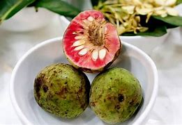 Image result for Trái Cây Lạ