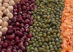 Image result for Beans Legumes and Lentils