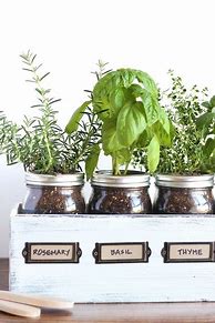 Image result for DIY Mason Jar Herb Garden