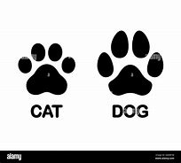 Image result for Big Cat Prints