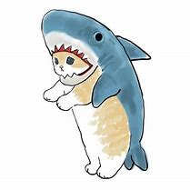 Image result for Cute Cat Shark