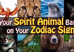 Image result for Spirit Animals for Zodiac Signs