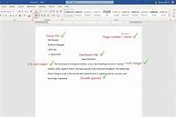 Image result for Basic Essay Format