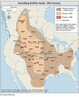 Image result for Bison Occidentalis