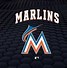 Image result for Miami Marlins Mascot