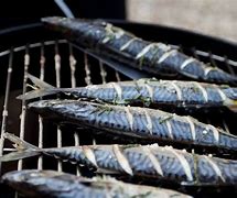 Image result for Hot Smoked Mackerel