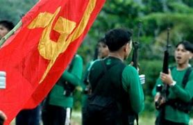 Image result for CPP-NPA Symbol