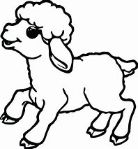 Image result for Drawing of Lamb