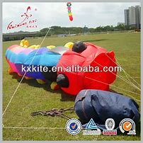 Image result for Inflatable Kite Cat