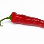 Image result for Chili Pepper Plant PNG