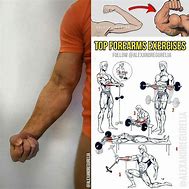 Image result for Forearm Workout Names