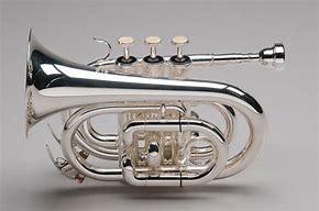 Image result for Silver Trumpet